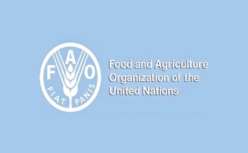 বিশ্বজুড়ে ভয়াবহ খাদ্যসংকটের শঙ্কা