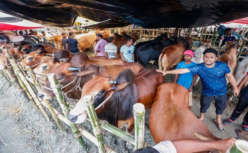 প্রতিযোগিতা নেই, কমল গাবতলী হাটের ইজারা মূল্য
